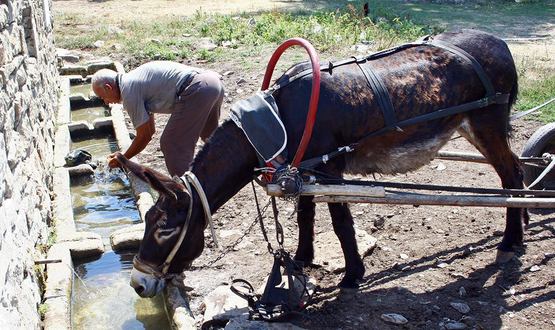 Три села пили вода с повече нитрати