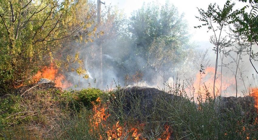 Подпалена трева опожари гора