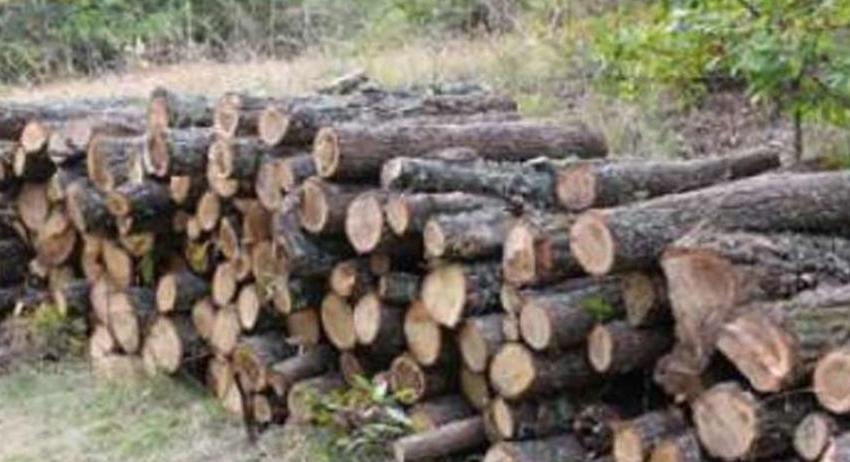 Община Шумен информира за изискванията и контрола върху дървесината за битово отопление 