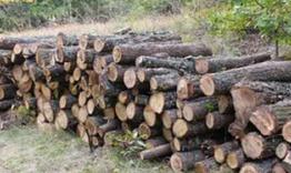 Община Шумен информира за изискванията и контрола върху дървесината за битово отопление 