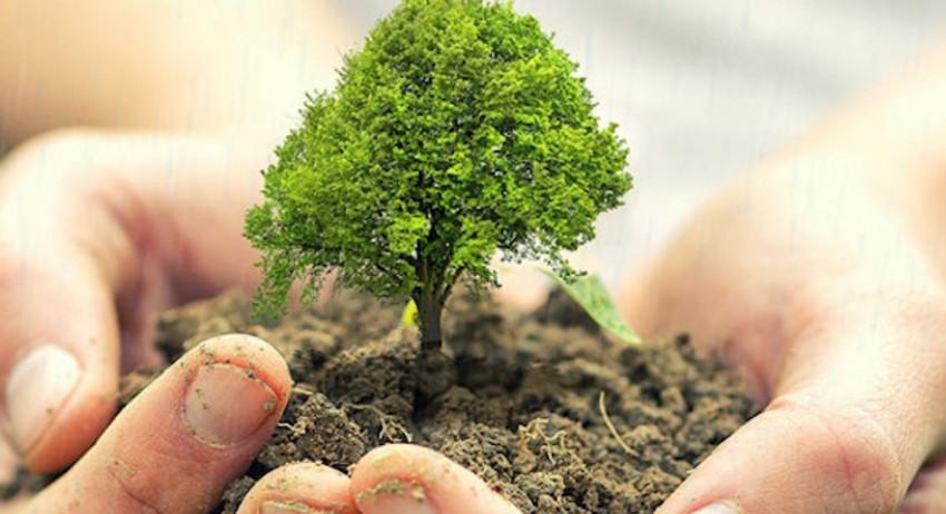 Община Нови пазар: „Да засадим заедно дръвче за по-зелено и чисто бъдеще на нашите деца”