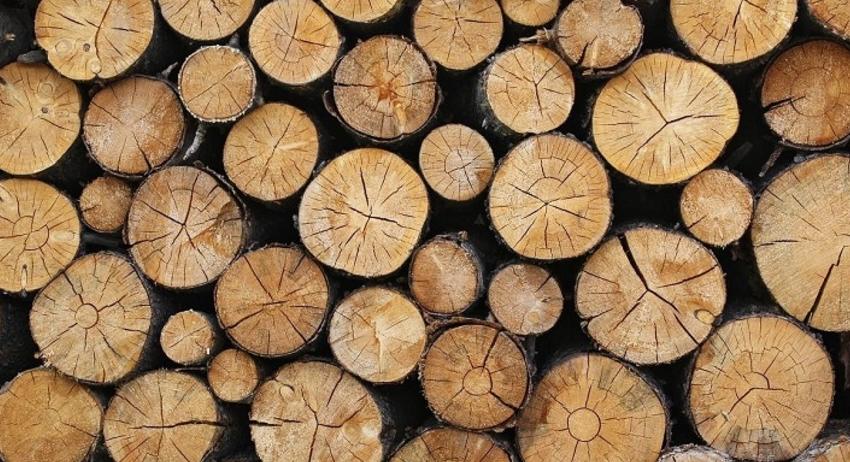 Над 3500 семейства от област Шумен получиха заявените дърва за огрев 
