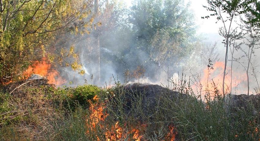 Гасиха пожар край Лозево 