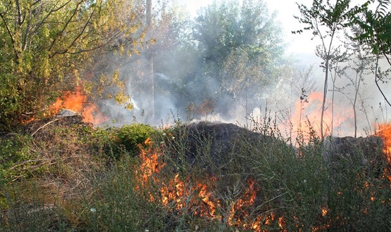 Гасиха пожар край Лозево 