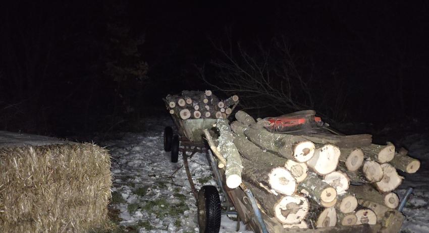 Конфискуваха две каруци с дърва от бракониери край Вълнари
