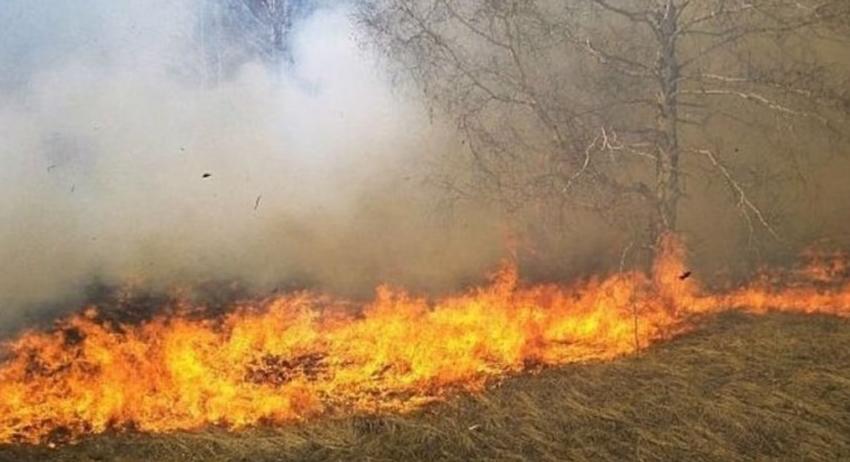 Запалени сухи треви предизвикаха пожари