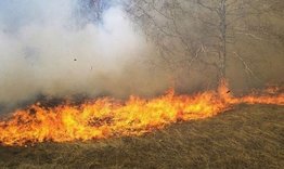 Запалени сухи треви предизвикаха пожари