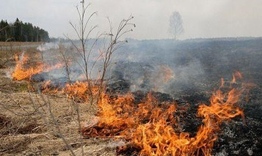 Пожарникари спасиха от пожар гори край Кочово и Тъкач 