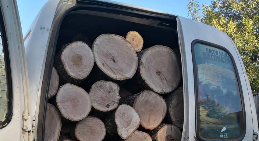 Задържаха автомобил, натоварен с откраднати дърва край Войвода 