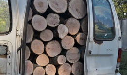Задържаха автомобил, натоварен с откраднати дърва край Войвода 