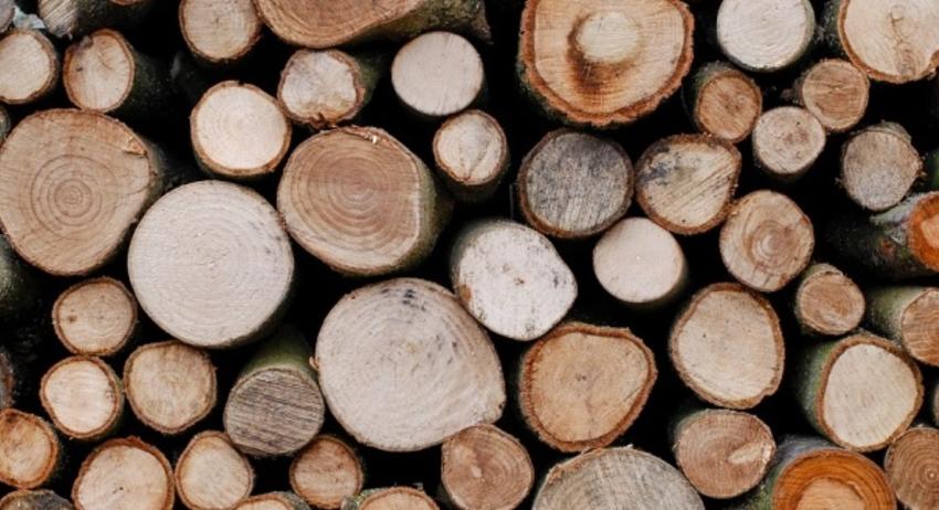 Установиха 25 кубика дърва без контролни горски марки