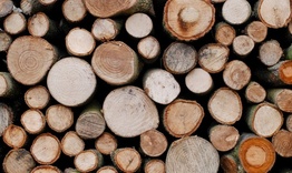 Установиха 25 кубика дърва без контролни горски марки