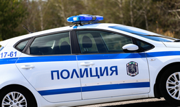 25-годишен събори елхата пред кметството на Ивански, влачи я с колата си  