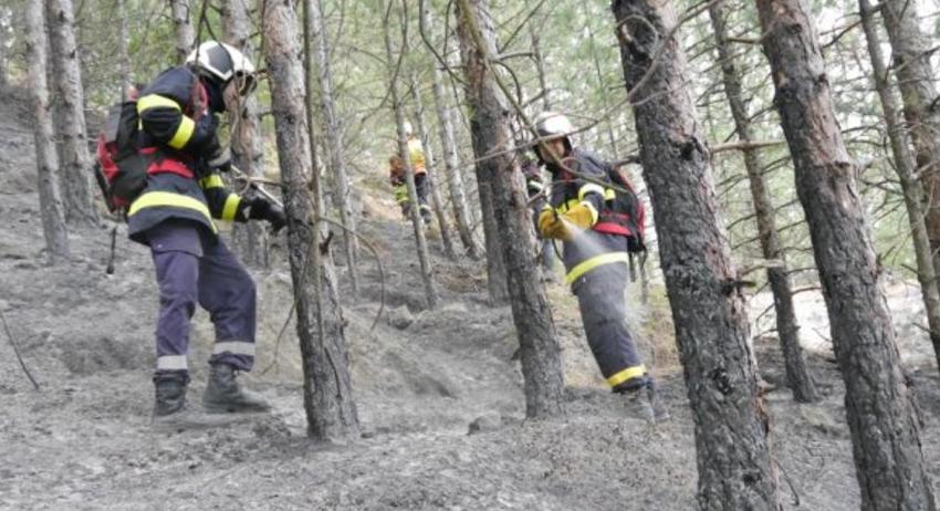 72 пожара са регистрирани в горите на Североизтока през 2022г. 