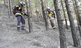 72 пожара са регистрирани в горите на Североизтока през 2022г. 