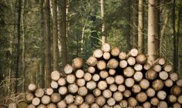 Над 800 са проверките за седмица в държавните горски стопанства 