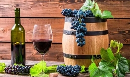 Община Нови пазар организира конкурс за най-добро домашно вино