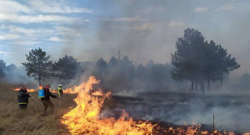Пожарникари и горски гасиха голям пожар в близост до Нови пазар