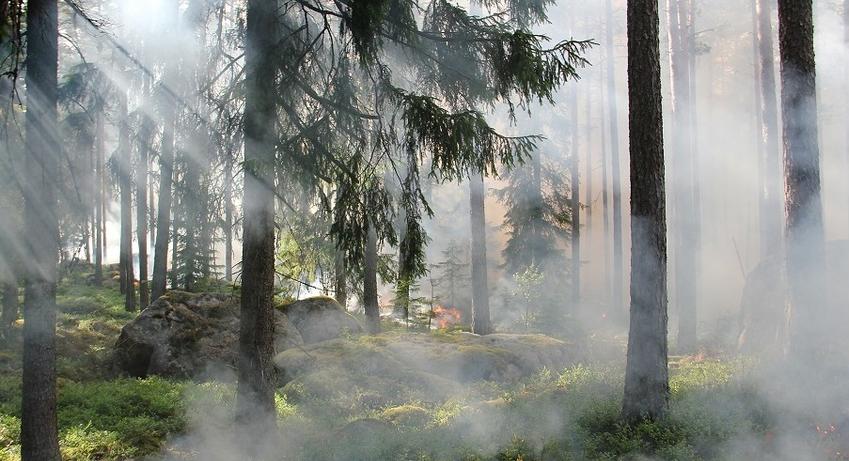 Мерки срещу възникване на пожари в земеделските земи и горите