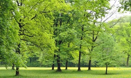 Община Велики Преслав се включва в инициативата „Зелени градове, зелени коридори“