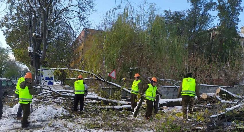 Служители на СИДП продължават да помагат при разчистване на паднали дървета и клони населените места и пътната мрежа