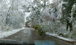 Пътната обстановка в Община Шумен е проходима при зимни условия