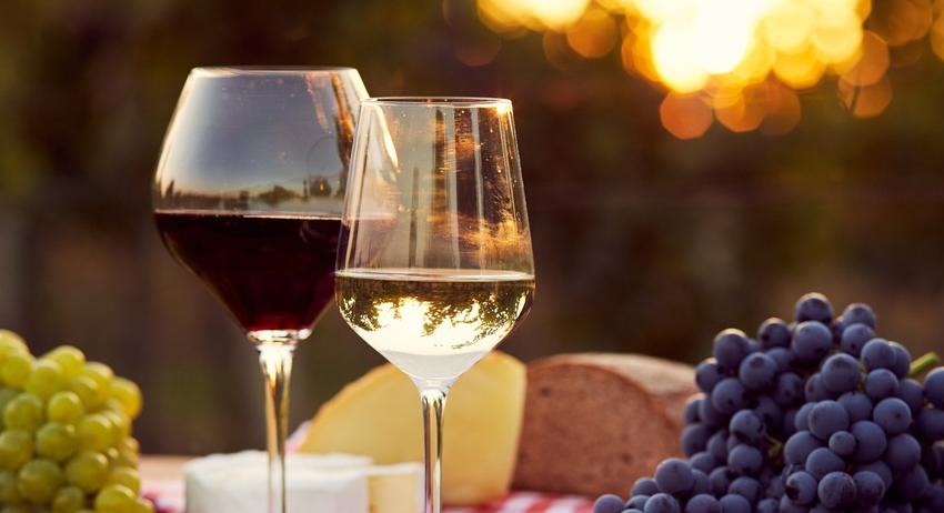 Община Нови пазар организира конкурс за най-добро домашно вино 