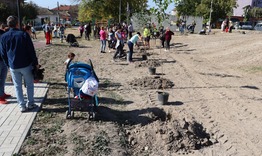 Община Нови пазар кани родители и децата им, родени през 2023 г., да засадят дръвче