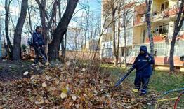 Продължава разчистването на паднали клони