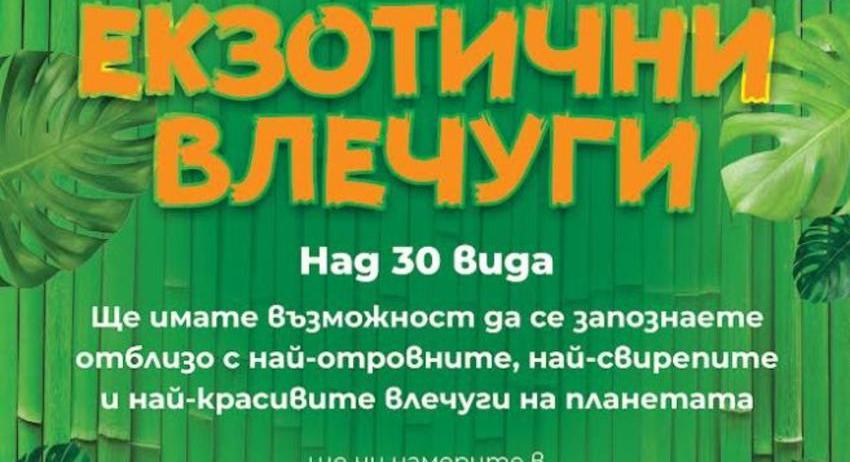 Екзотични животни могат да се видят от днес в Регионалната библиотека