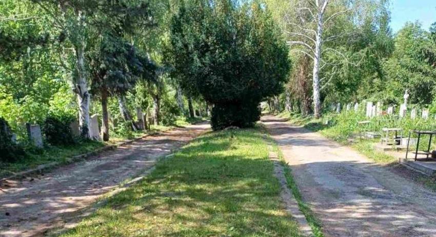 Почистват гробищните паркове