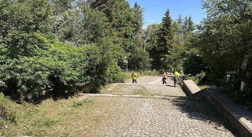 Почистват стъпалата към Паметника