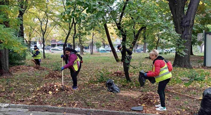 Почистват речното корито при „Лъвчето“ и премахват сухи дървета в Шумен