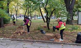 Почистват речното корито при „Лъвчето“ и премахват сухи дървета в Шумен