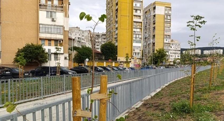 Община Шумен ще залеси минимум 3000 дървета