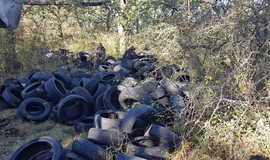 Горските от ДГС - Шумен изчистиха огромно незаконно сметище край Макашката кория