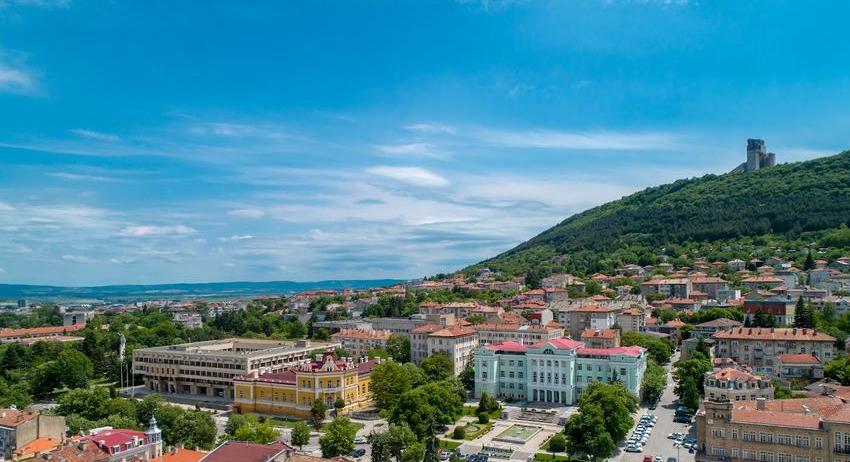 Четири стопанства ще предлагат коледни дръвчета