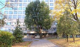 МБАЛ-Шумен гарантира 24 часова медицинска помощ за празниците