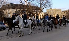 Посрещнаха пред Община Шумен жокеите от клубовете по конен спорт